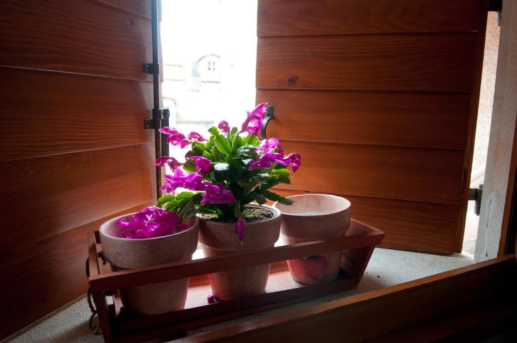 Apartments Salvezani Split Ngoại thất bức ảnh